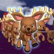 Dictation 1: "Reindeers"